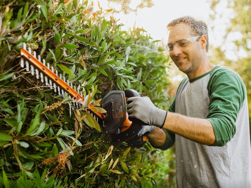 A Practical Cordless Hedge Trimmer for Everyday Yard Maintenance