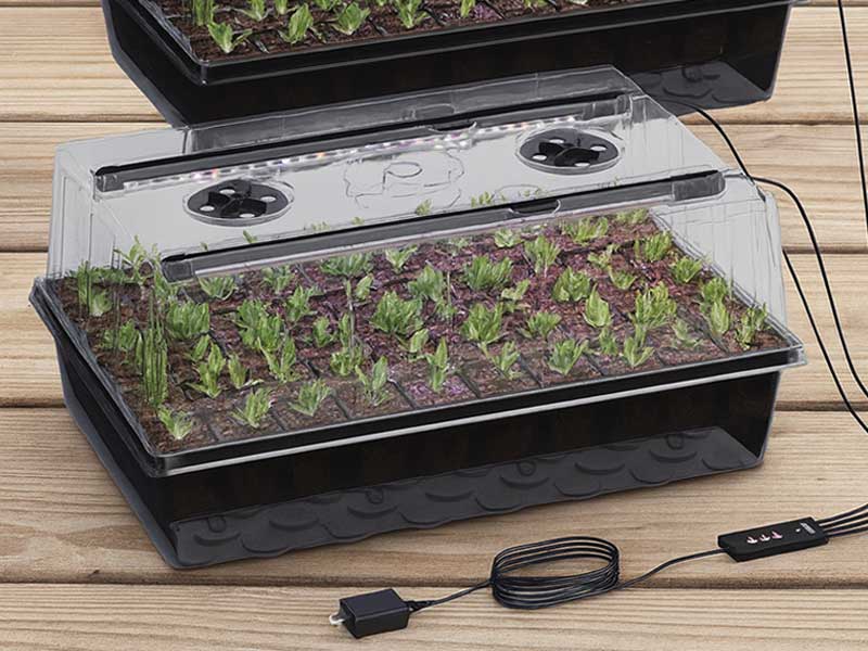 Growing Made Simple with the 120-Cell Self-Watering Seed Starter Tray