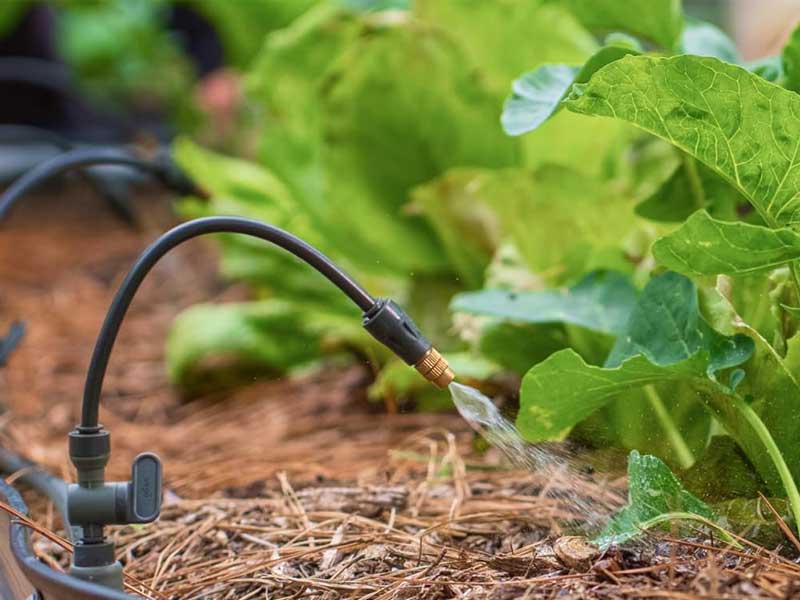 Vego Garden Irrigation Kit Redefines What a Drip System for Garden Beds Should Feel Like